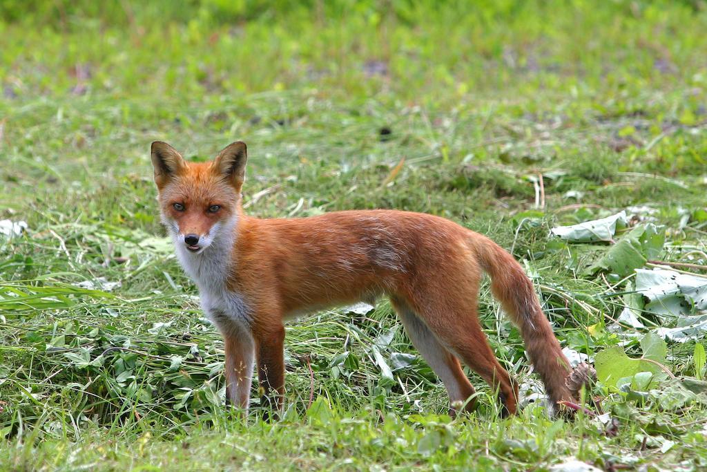 ホテル 十勝岳温泉 カミホロ荘 上富良野町 エクステリア 写真