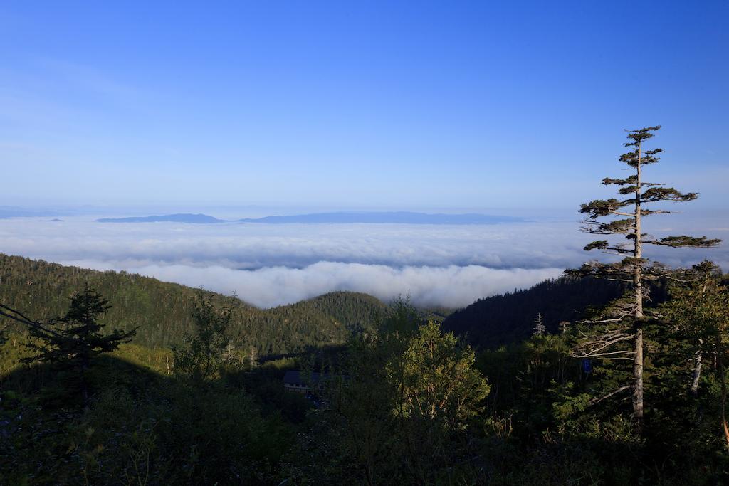 ホテル 十勝岳温泉 カミホロ荘 上富良野町 エクステリア 写真